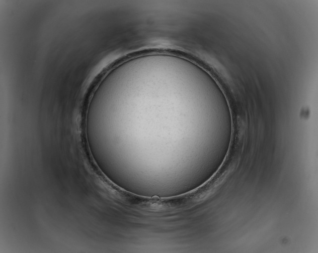 X0000101151318200807071140