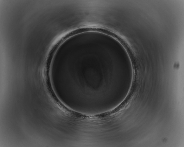 X0000101151319200807071140