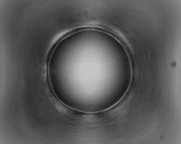 X0000101151320200807071140