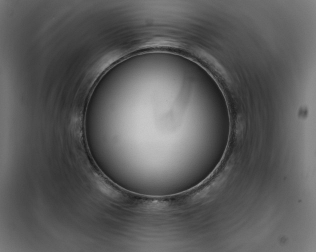 X0000101151321200807071140