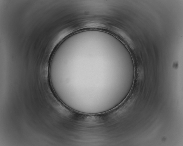 X0000101151322200807071140