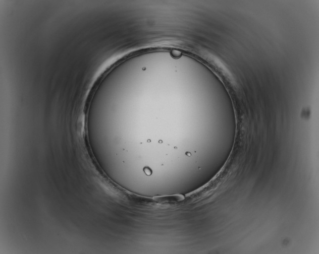 X0000101151324200807071140