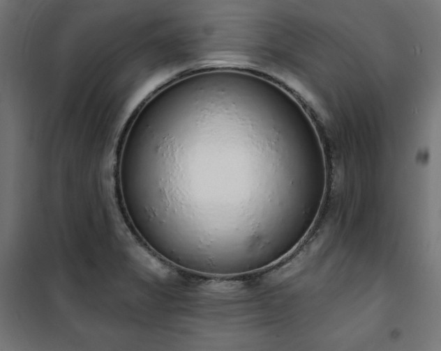 X0000101151325200807071140