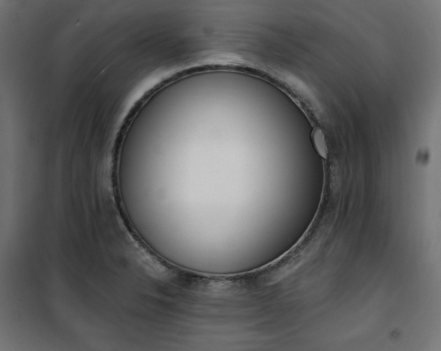 X0000101151326200807071140