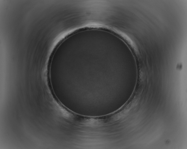 X0000101151327200807071140