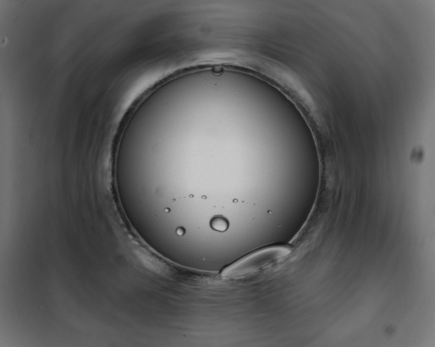 X0000101151328200807071140