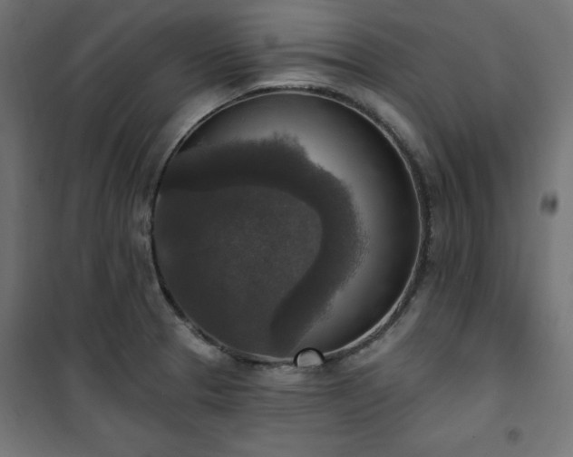 X0000101151329200807071140