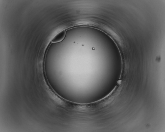 X0000101151330200807071140