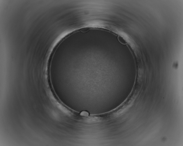 X0000101151331200807071140