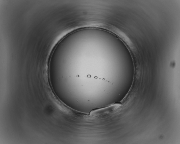 X0000101151332200807071140