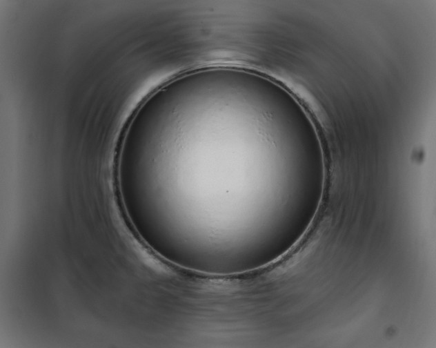 X0000101151333200807071140