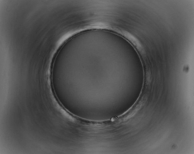 X0000101151334200807071140