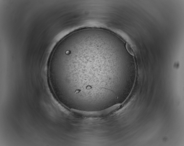 X0000101151335200807071140