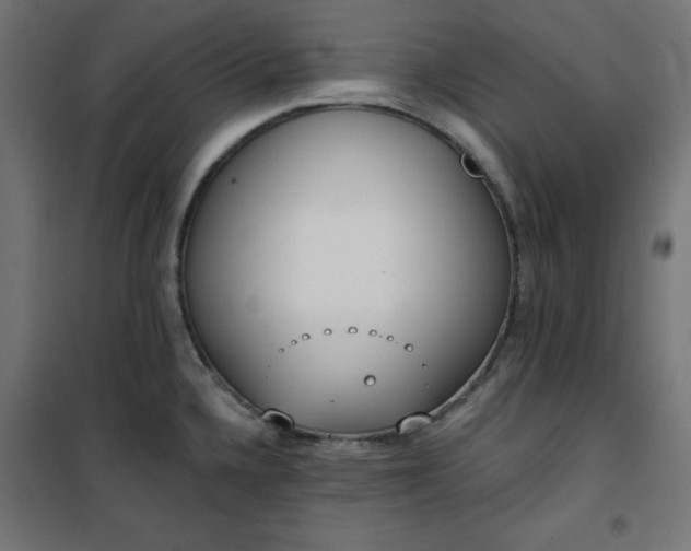 X0000101151336200807071140