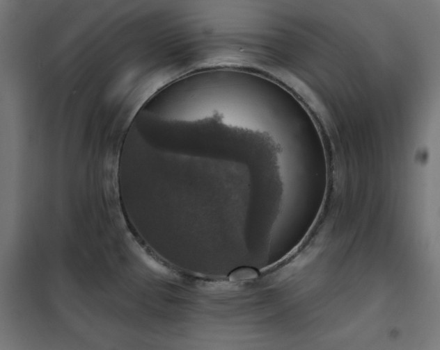 X0000101151337200807071140