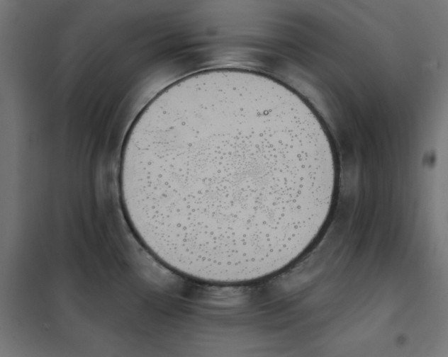 X0000101151338200807071140