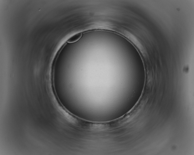 X0000101151339200807071140