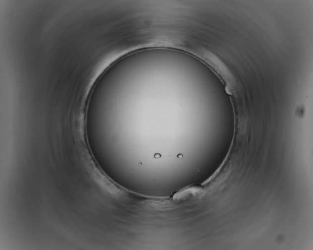 X0000101151340200807071140