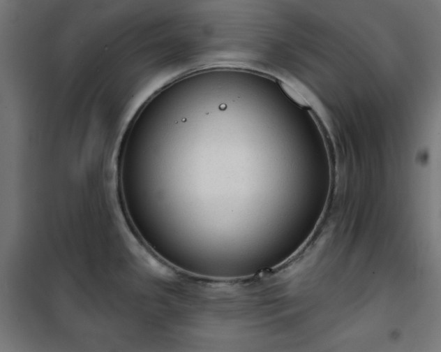 X0000101151341200807071140