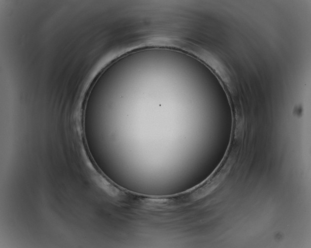 X0000101151342200807071140