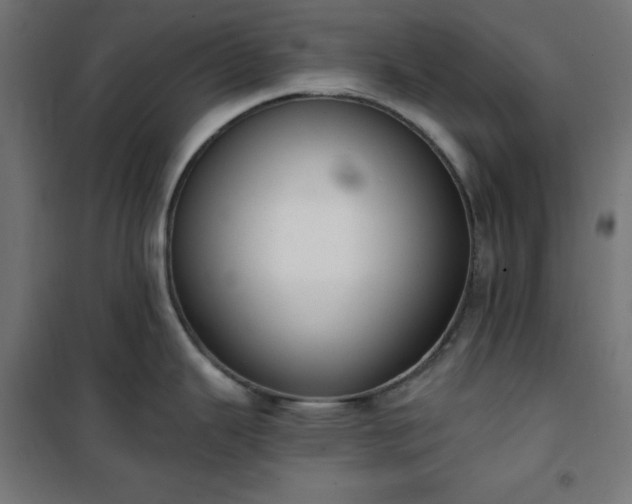 X0000101151343200807071140