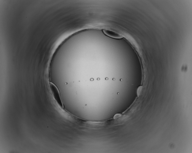 X0000101151344200807071140