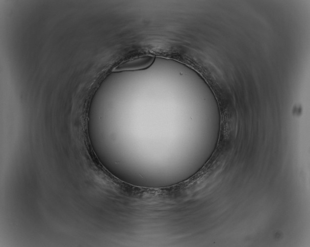 X0000101151345200807071139