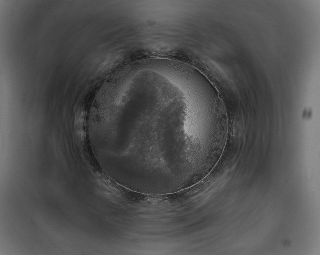 X0000101151346200807071139