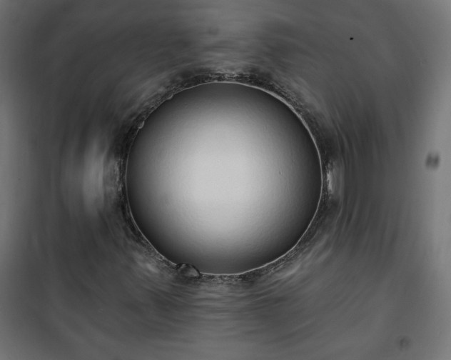 X0000101151347200807071139