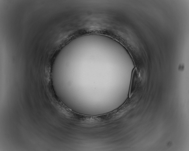 X0000101151348200807071139