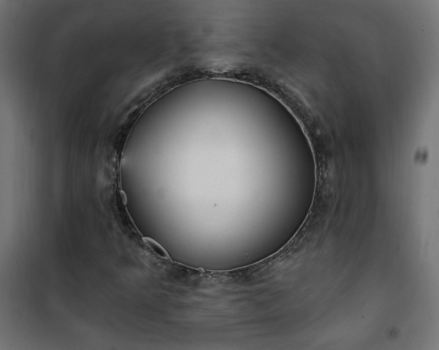 X0000101151349200807071139