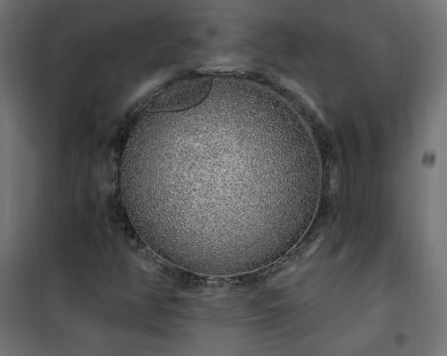 X0000101151350200807071139