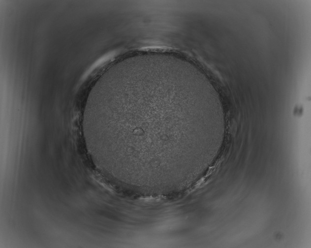 X0000101151351200807071139