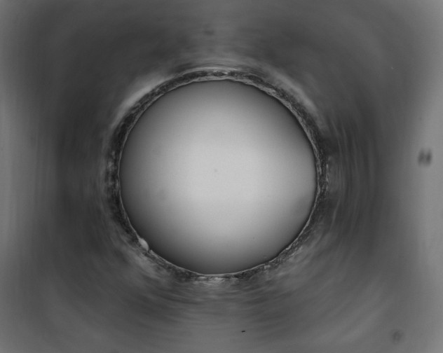 X0000101151352200807071139