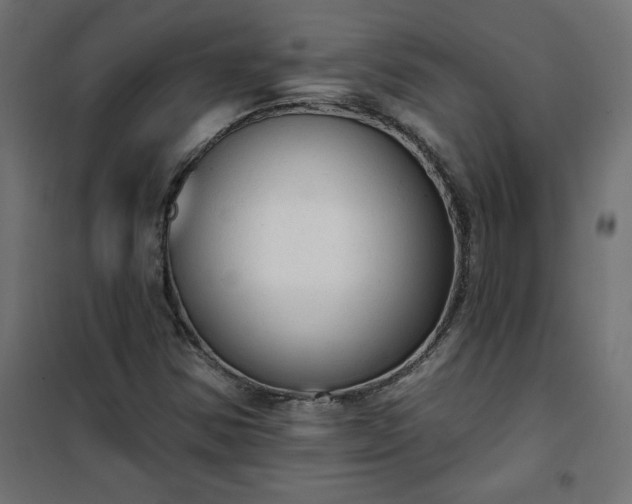 X0000101151354200807071139