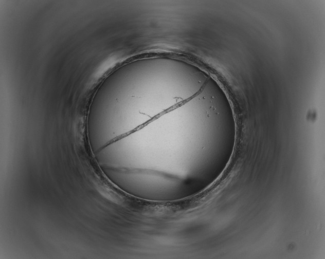 X0000101151355200807071139