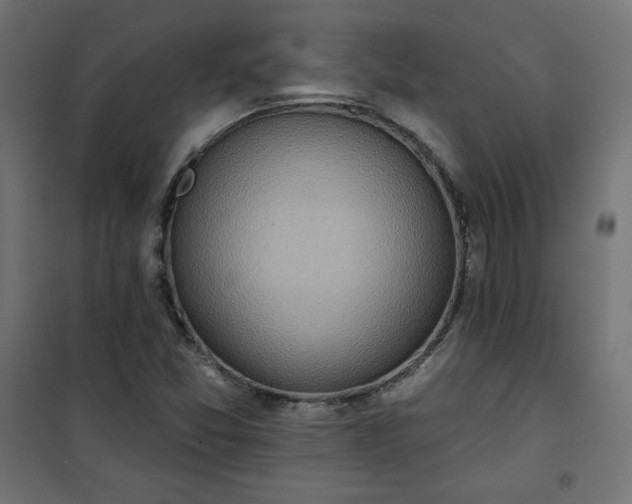 X0000101151357200807071139