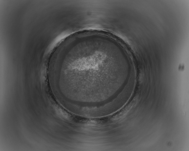 X0000101151359200807071139