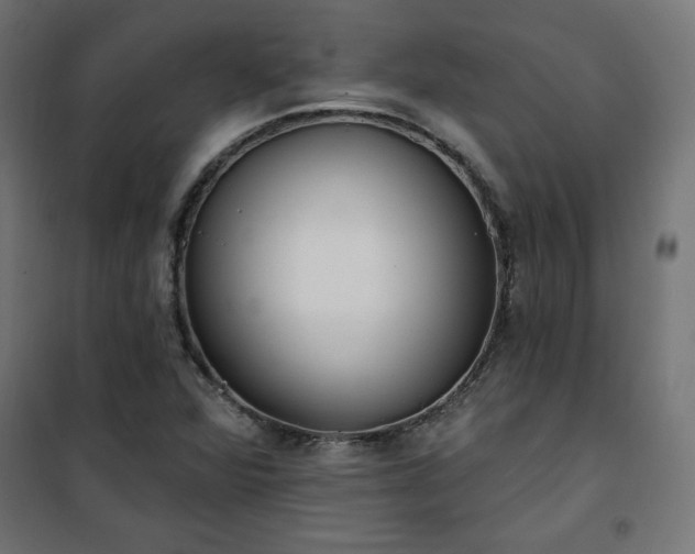 X0000101151360200807071139