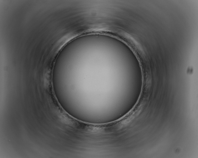 X0000101151361200807071139