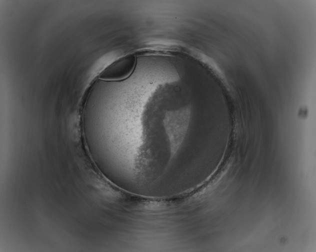 X0000101151362200807071139