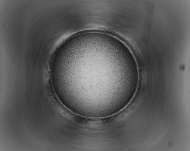 X0000101151363200807071139