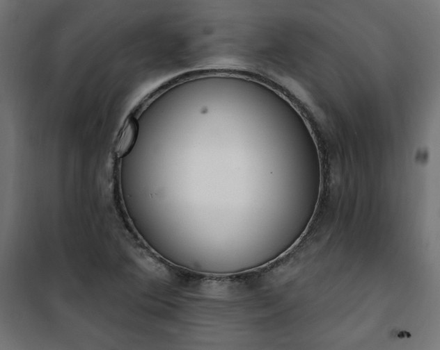 X0000101151364200807071139