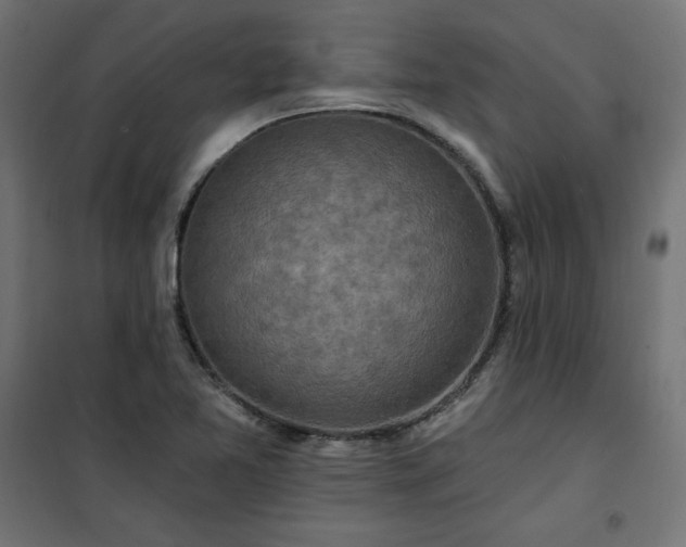 X0000101151365200807071139