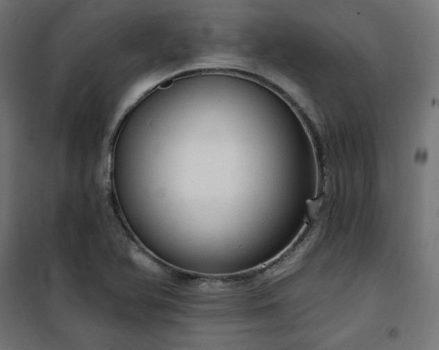 X0000101151366200807071139