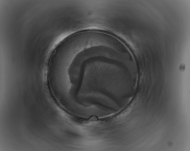 X0000101151367200807071139