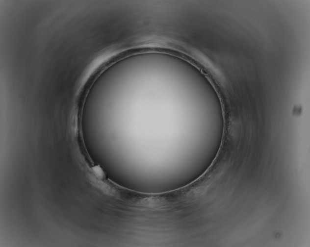 X0000101151368200807071139