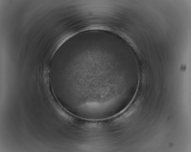 X0000101151369200807071139