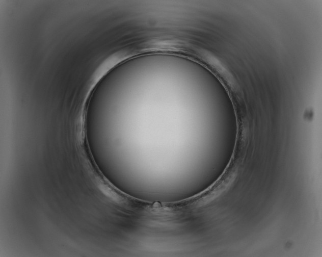 X0000101151370200807071139