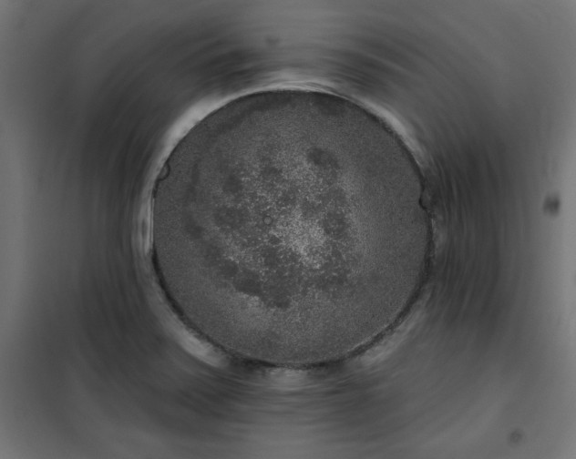 X0000101151371200807071139